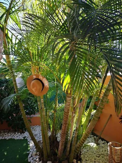 펜션 Wohlfuehloase In Maspalomas