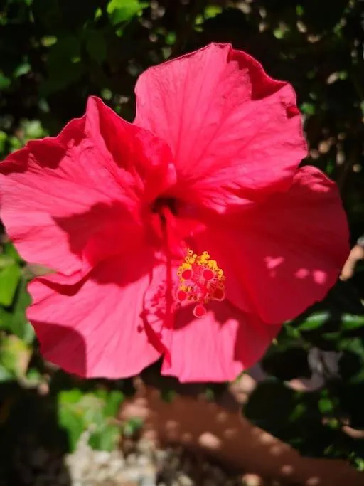 펜션 Wohlfuehloase In Maspalomas 스페인