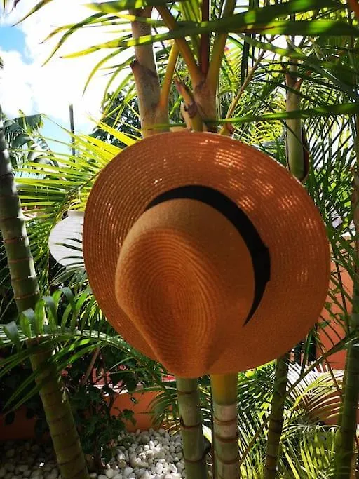 펜션 Wohlfuehloase In Maspalomas